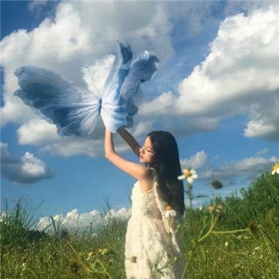 我的情敌女婿