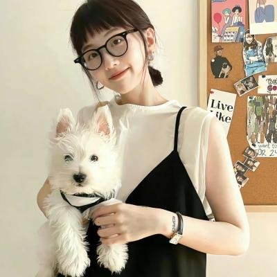 安全维纳斯
